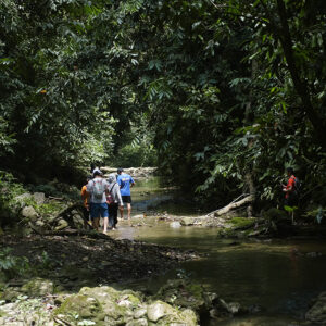 Hiking rừng Pù Luông